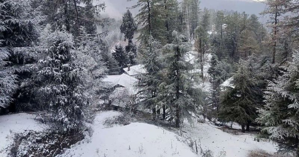 Himachal Pradesh: IMD predicts rain, snowfall in Shimla and other areas